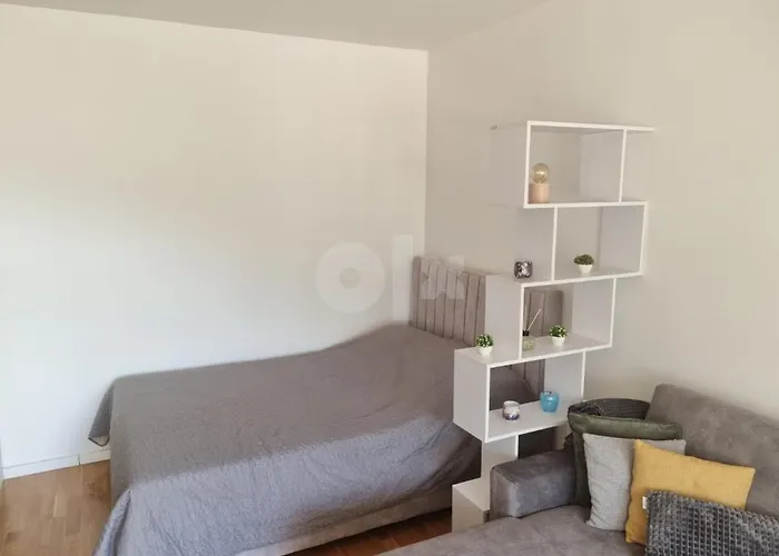 Luxury Sunny Place 公寓